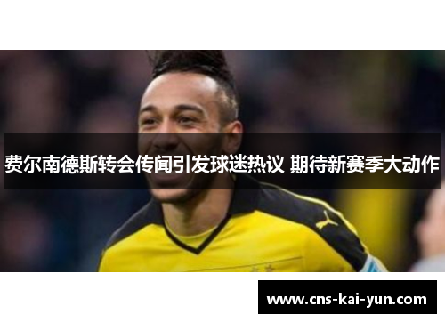 费尔南德斯转会传闻引发球迷热议 期待新赛季大动作